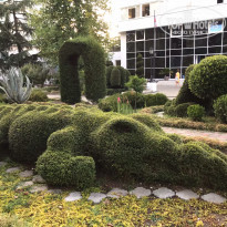 фото из отзыва ID 2130155