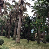 фото из отзыва ID 2130155