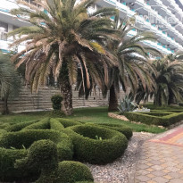 фото из отзыва ID 2130155