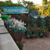 фото из отзыва ID 2130191