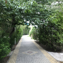 фото из отзыва ID 2130242