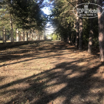 фото из отзыва ID 2130242