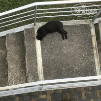 фото из отзыва ID 2130242