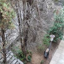 фото из отзыва ID 2130360