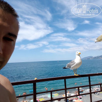 фото из отзыва ID 2130360