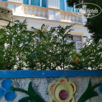 фото из отзыва ID 2130415