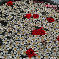 фото из отзыва ID 2130413