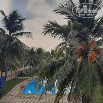 фото из отзыва ID 2130413