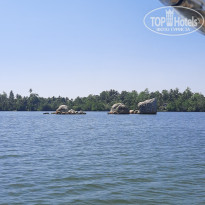 фото из отзыва ID 2130413