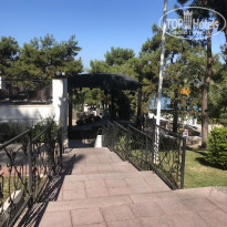 фото из отзыва ID 2130551