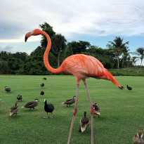 фото из отзыва ID 2130648