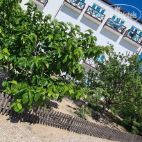 фото из отзыва ID 2130786