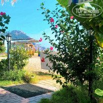 фото из отзыва ID 2130903