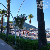 фото из отзыва ID 2131100