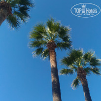 фото из отзыва ID 2131201