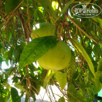 фото из отзыва ID 2131201