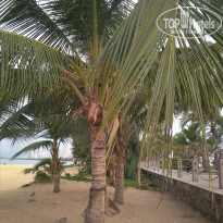 фото из отзыва ID 2131276