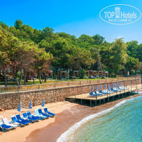 фото из отзыва ID 2131305