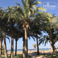 фото из отзыва ID 2131390