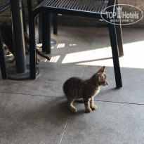 фото из отзыва ID 2131379