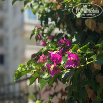 фото из отзыва ID 2131379