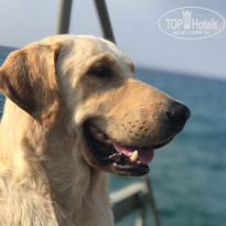 фото из отзыва ID 2131379