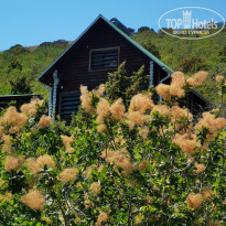 фото из отзыва ID 2131458