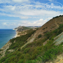 фото из отзыва ID 2131458