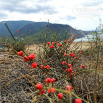 фото из отзыва ID 2131458