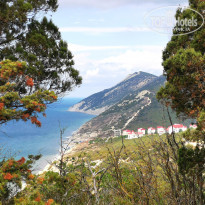 фото из отзыва ID 2131458