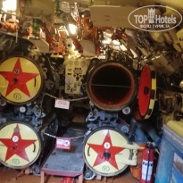 фото из отзыва ID 2131488