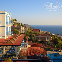 фото из отзыва ID 2131482