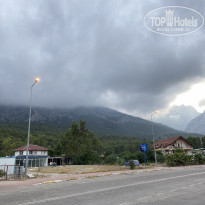 фото из отзыва ID 2131518