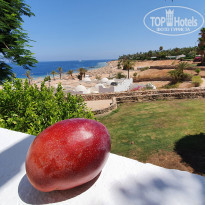 фото из отзыва ID 2131714