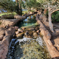 фото из отзыва ID 2131714