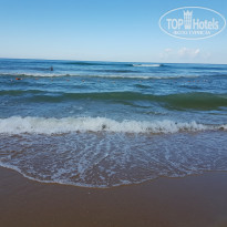 фото из отзыва ID 2131879