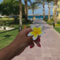 фото из отзыва ID 2131878