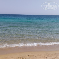 фото из отзыва ID 2131878