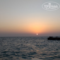 фото из отзыва ID 2131878