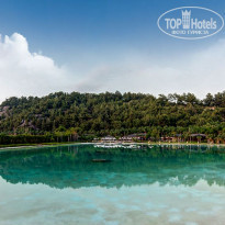 фото из отзыва ID 2131913