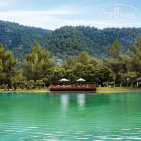 фото из отзыва ID 2131913