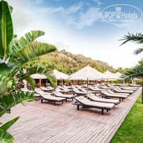 фото из отзыва ID 2131913