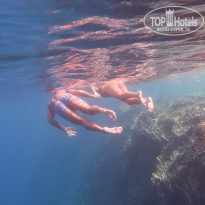 фото из отзыва ID 2131714