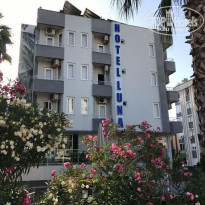 фото из отзыва ID 2131997