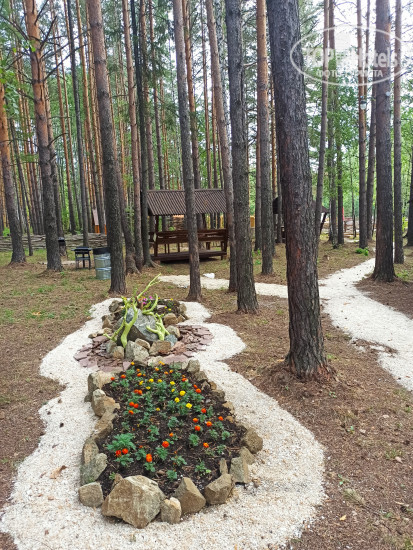 New photos from tourists Парк-отель Евразия