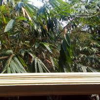 фото из отзыва ID 2132074