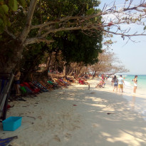 фото из отзыва ID 2132074