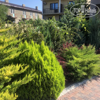 фото из отзыва ID 2132139