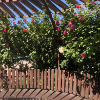 фото из отзыва ID 2132139