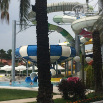 фото из отзыва ID 2131987